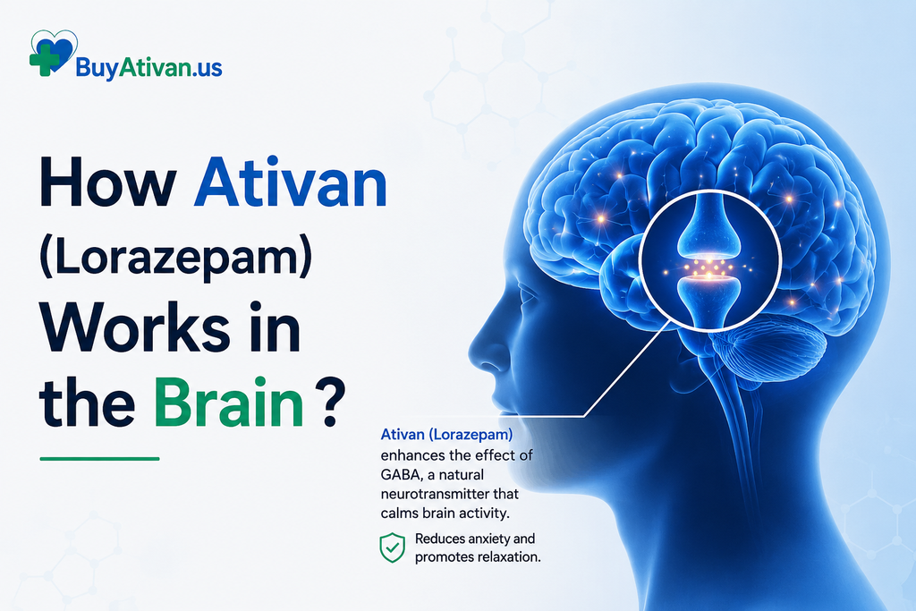 How Ativan (Lorazepam) Works in the Brain ?